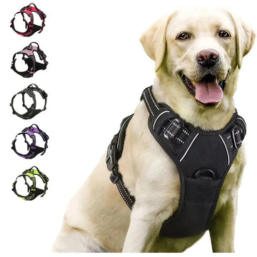 Dog Collars, Harnesses & Leashes - Pawfectly Heaven