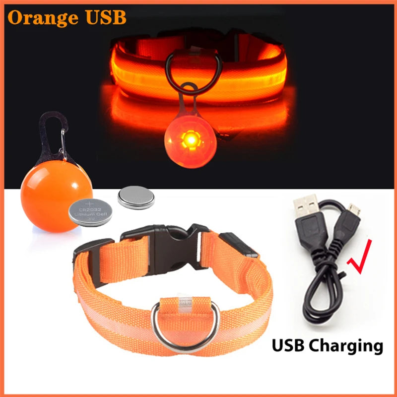 USB Charging Glowing Dog Collar - Pawfectly Heaven