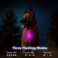 USB Charging Glowing Dog Collar - Pawfectly Heaven