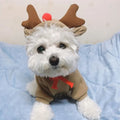 Cosplay Dog Hoodies – Cute Costume Jackets - Pawfectly Heaven