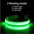 USB Charging Glowing Dog Collar - Pawfectly Heaven