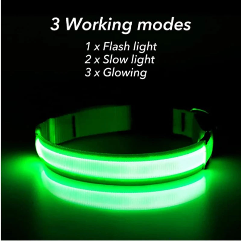 USB Charging Glowing Dog Collar - Pawfectly Heaven