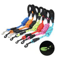 Strong Reflective Dog Leash for Big, Medium & Small Dogs - Pawfectly Heaven