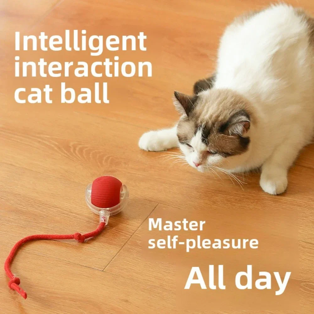 Rechargeable Smart Pet Ball - Pawfectly Heaven