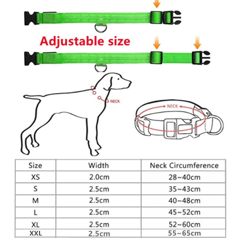 USB Charging Glowing Dog Collar - Pawfectly Heaven