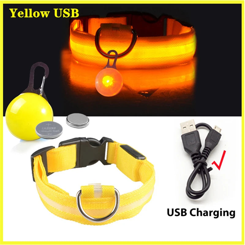 USB Charging Glowing Dog Collar - Pawfectly Heaven