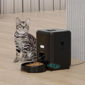 Smart Automatic Pet Feeder - Pawfectly Heaven