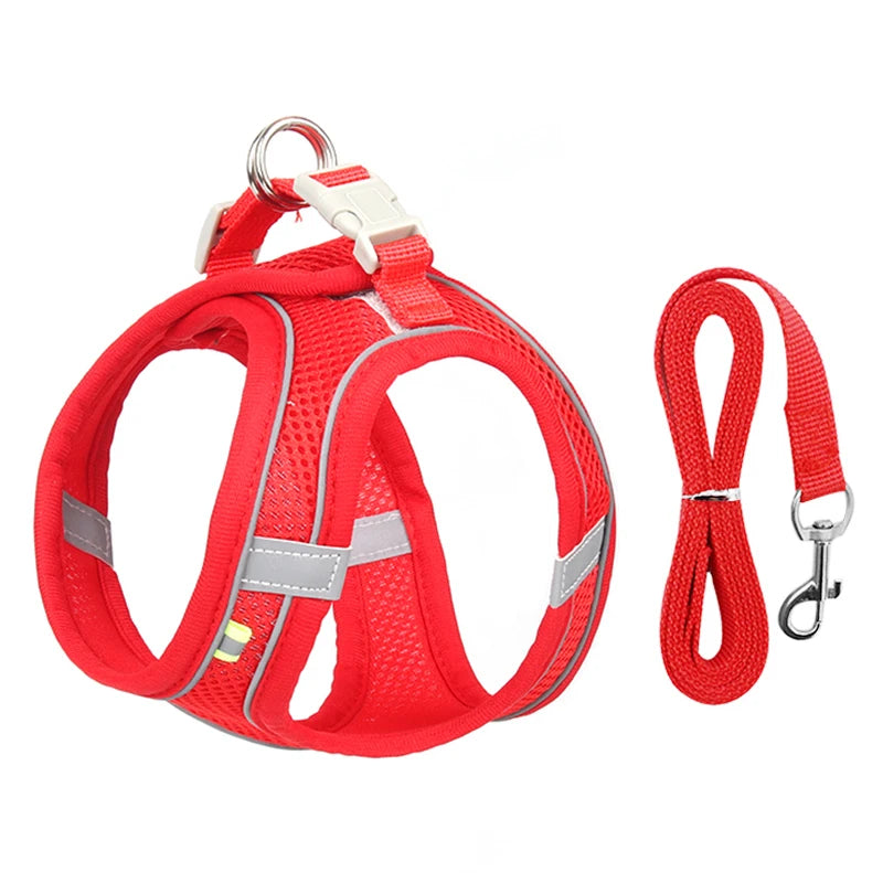 Adjustable Dog Harness & Leash Set for Small Dogs - Pawfectly Heaven