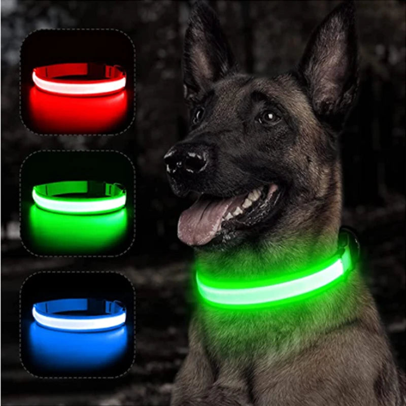 USB Charging Glowing Dog Collar - Pawfectly Heaven