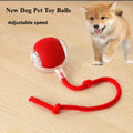 Rechargeable Smart Pet Ball - Pawfectly Heaven