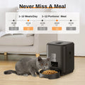 Smart Automatic Pet Feeder - Pawfectly Heaven