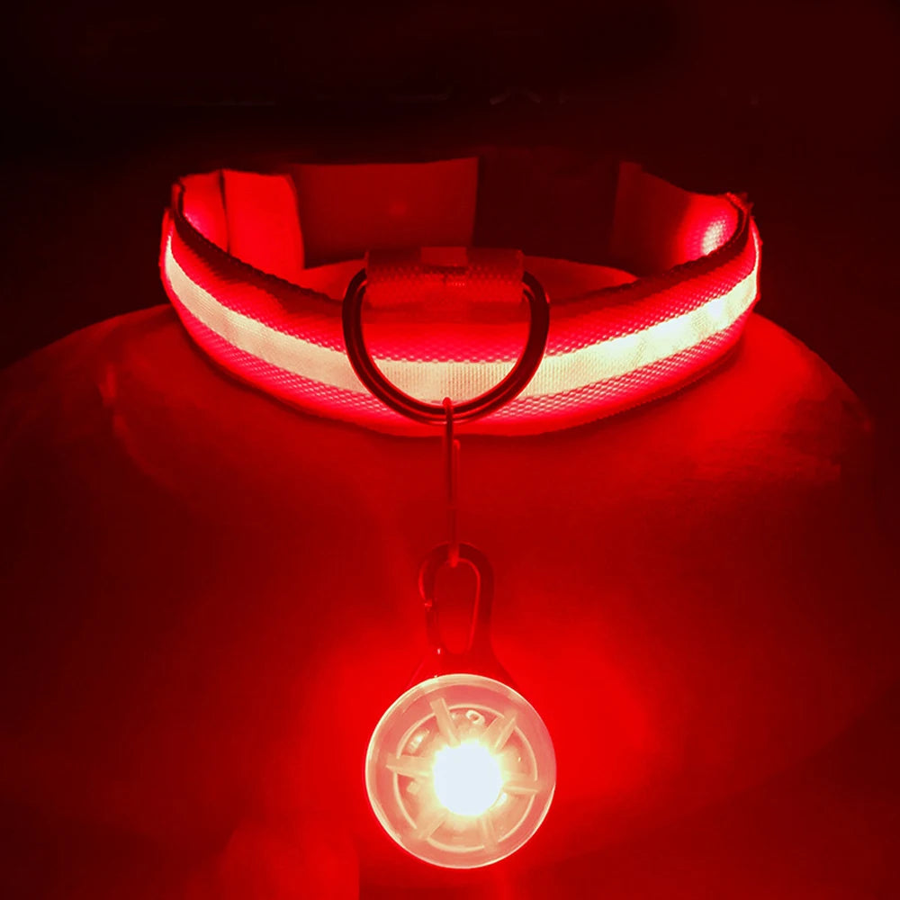 USB Charging Glowing Dog Collar - Pawfectly Heaven