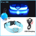 USB Charging Glowing Dog Collar - Pawfectly Heaven