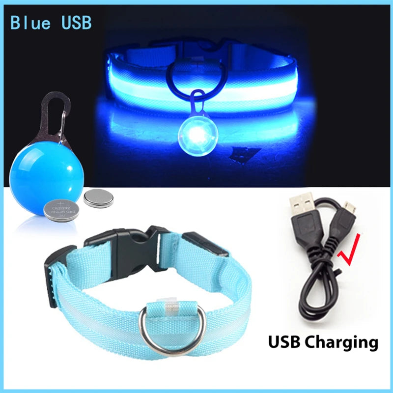 USB Charging Glowing Dog Collar - Pawfectly Heaven