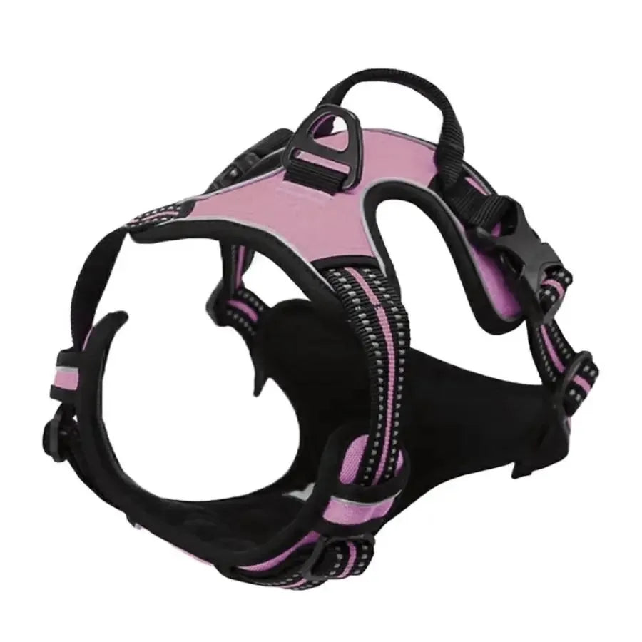 Dog Collars, Harnesses & Leashes - Pawfectly Heaven