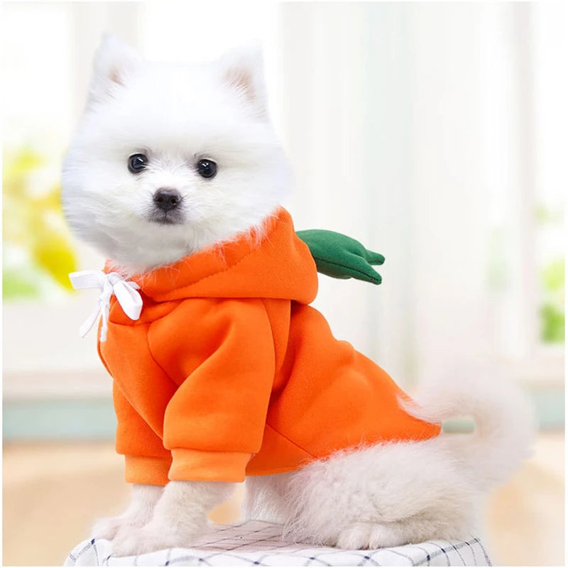 Cosplay Dog Hoodies – Cute Costume Jackets - Pawfectly Heaven