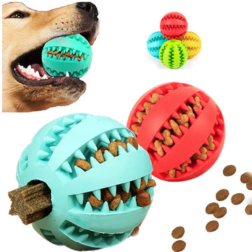 Interactive Rubber Dog Toy Ball - Pawfectly Heaven