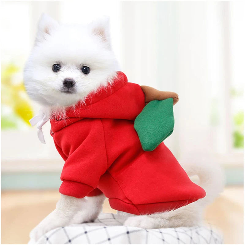 Cosplay Dog Hoodies – Cute Costume Jackets - Pawfectly Heaven