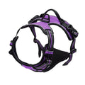 Dog Collars, Harnesses & Leashes - Pawfectly Heaven