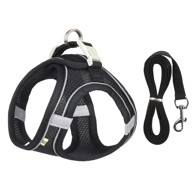 Adjustable Dog Harness & Leash Set for Small Dogs - Pawfectly Heaven