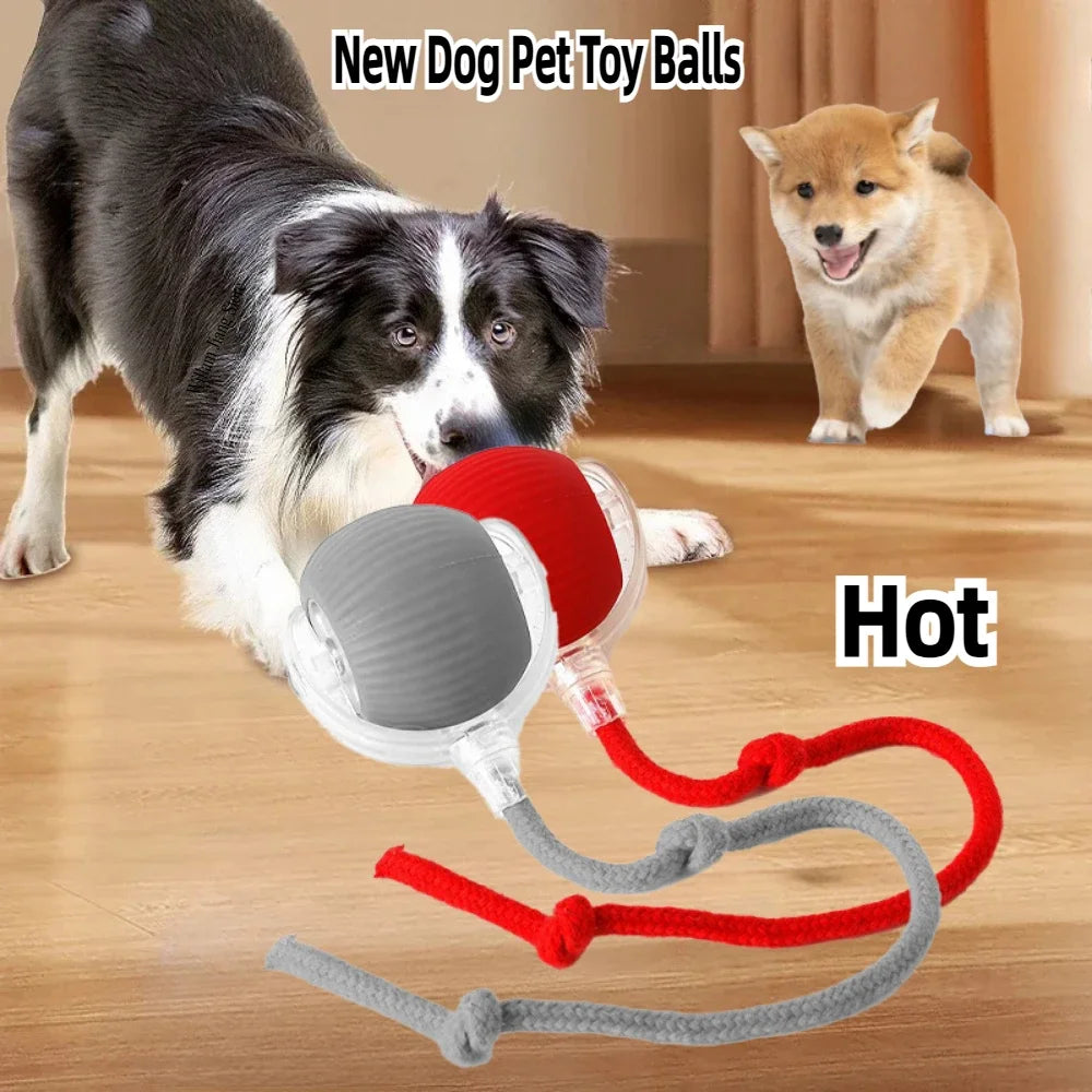 Rechargeable Smart Pet Ball - Pawfectly Heaven