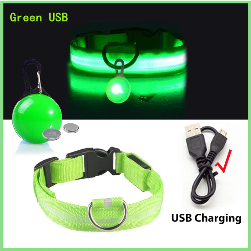 USB Charging Glowing Dog Collar - Pawfectly Heaven