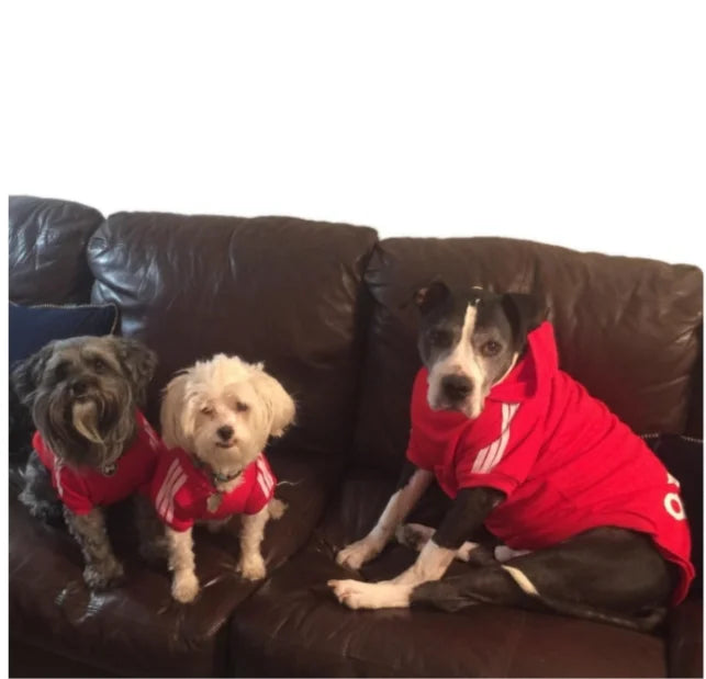 Adidog Dog Hoodies - Pawfectly Heaven