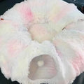 Plush Cat Tunnel Bed – Cozy Donut Bed with Peephole - Pawfectly Heaven