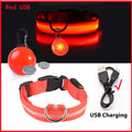 USB Charging Glowing Dog Collar - Pawfectly Heaven