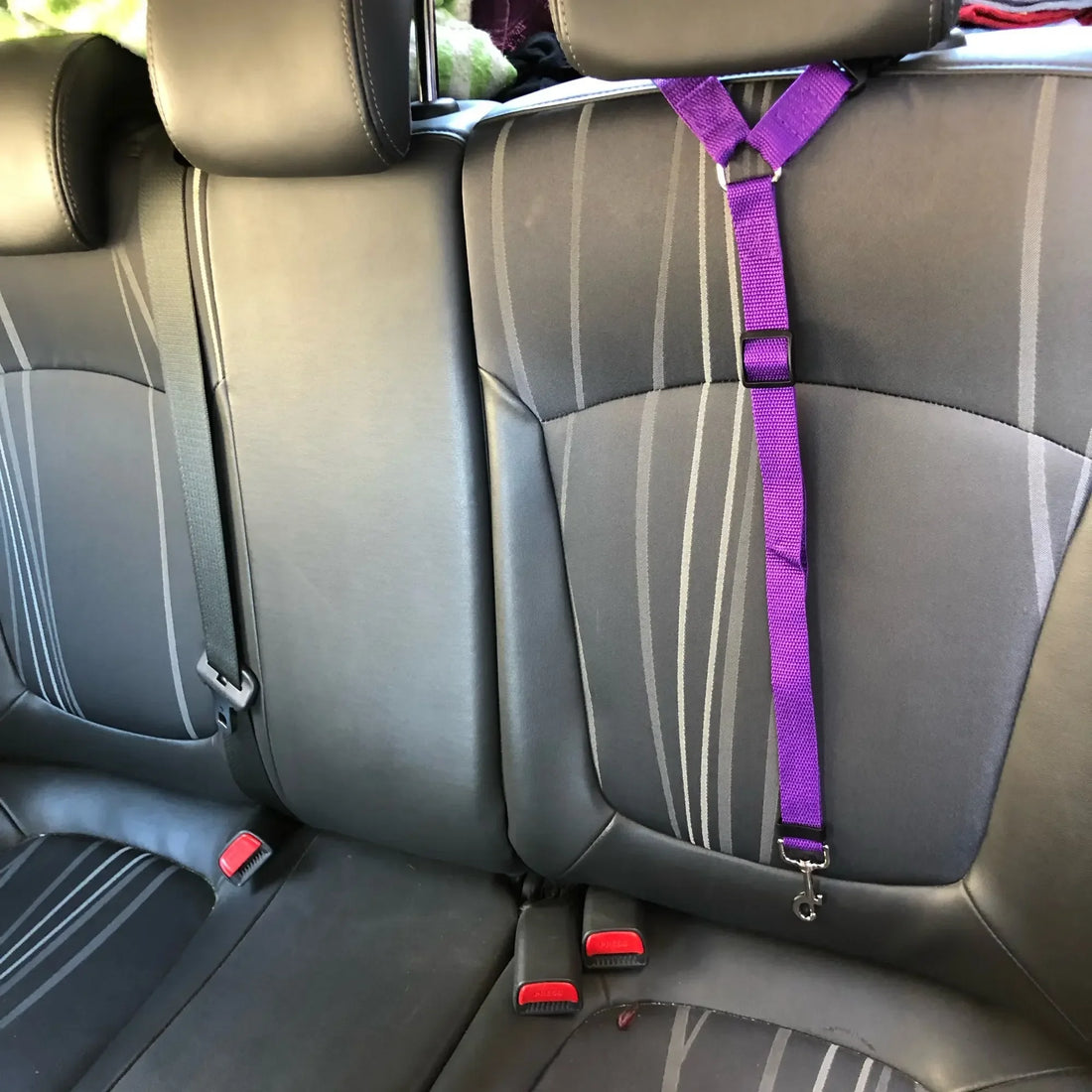 2-in-1 Pet Car Seat Belt – Adjustable Nylon Lead Leash - Pawfectly Heaven